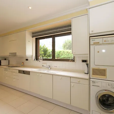 Tulipa Сasa de vacaciones